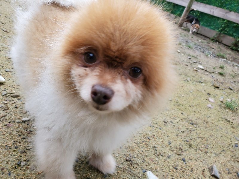 f:id:roukenhome-ann:20190831080542j:plain