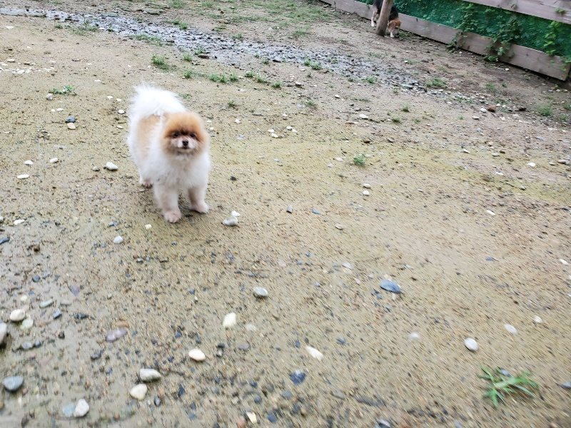 f:id:roukenhome-ann:20190831080548j:plain
