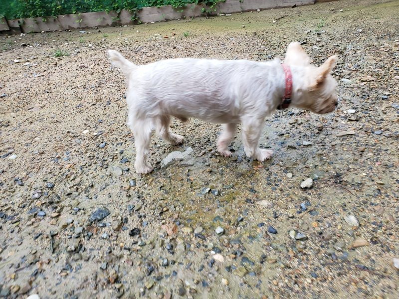 f:id:roukenhome-ann:20190831080601j:plain