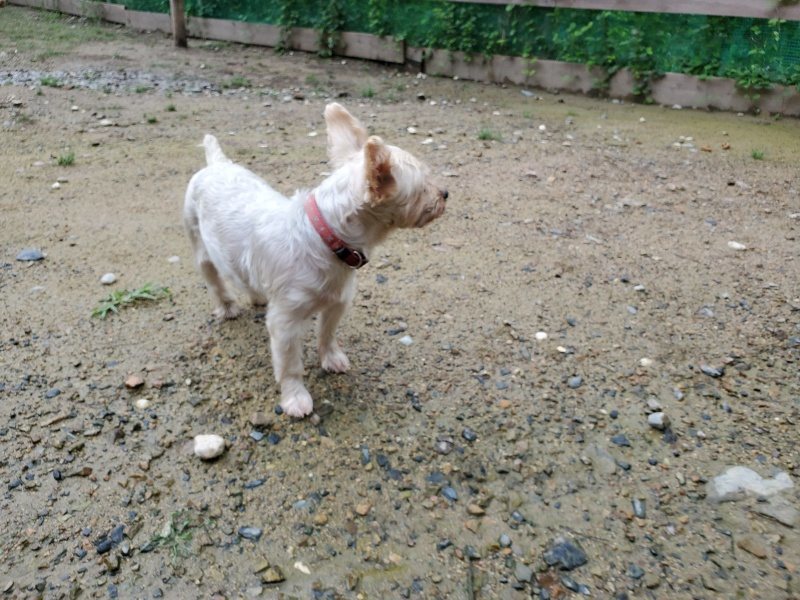 f:id:roukenhome-ann:20190831080613j:plain