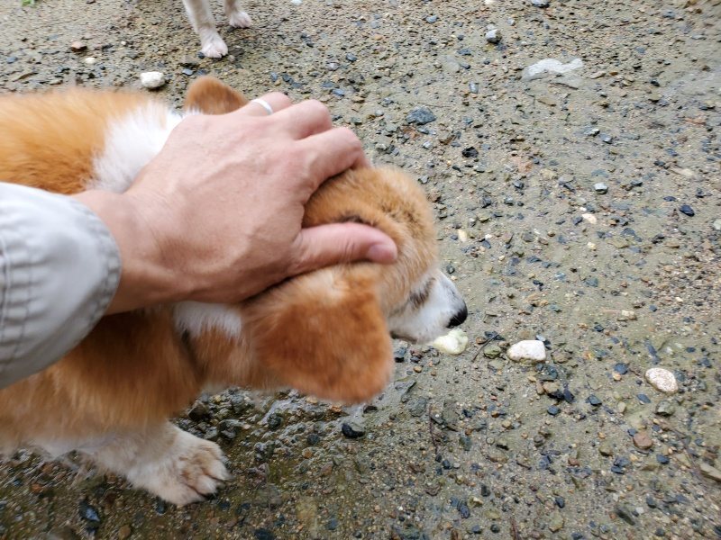 f:id:roukenhome-ann:20190831080631j:plain