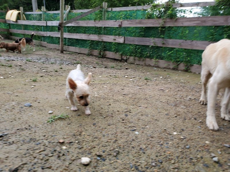 f:id:roukenhome-ann:20190831080636j:plain