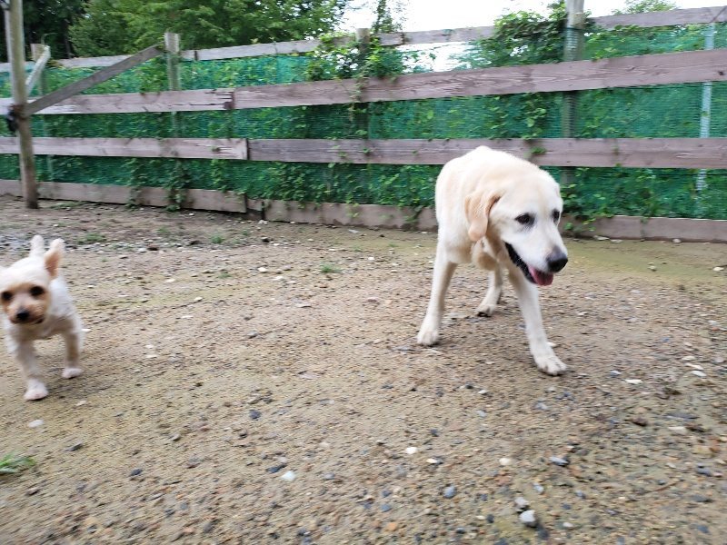 f:id:roukenhome-ann:20190831080642j:plain