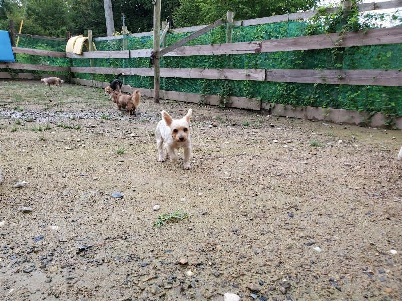 f:id:roukenhome-ann:20190831080659j:plain