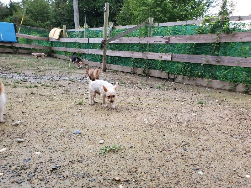 f:id:roukenhome-ann:20190831080706j:plain
