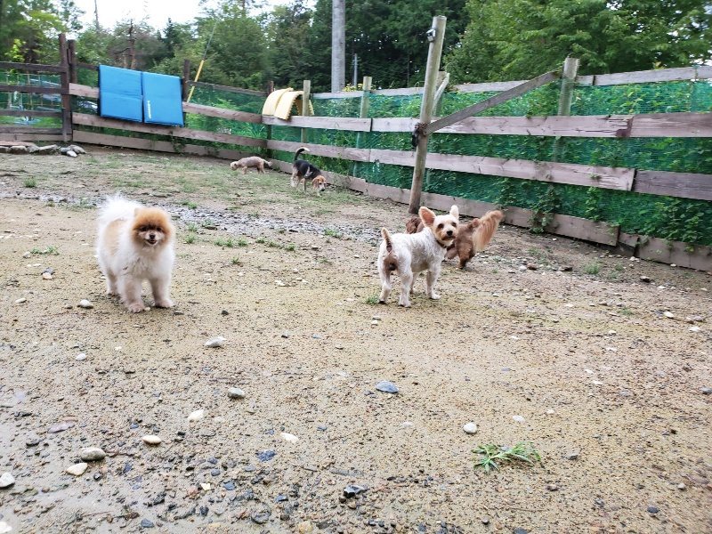 f:id:roukenhome-ann:20190831080714j:plain