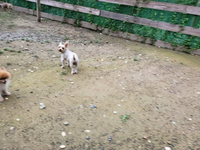 f:id:roukenhome-ann:20190831080723j:plain