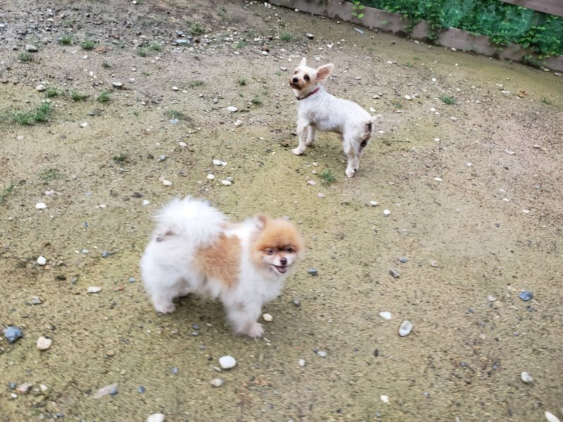 f:id:roukenhome-ann:20190831080732j:plain