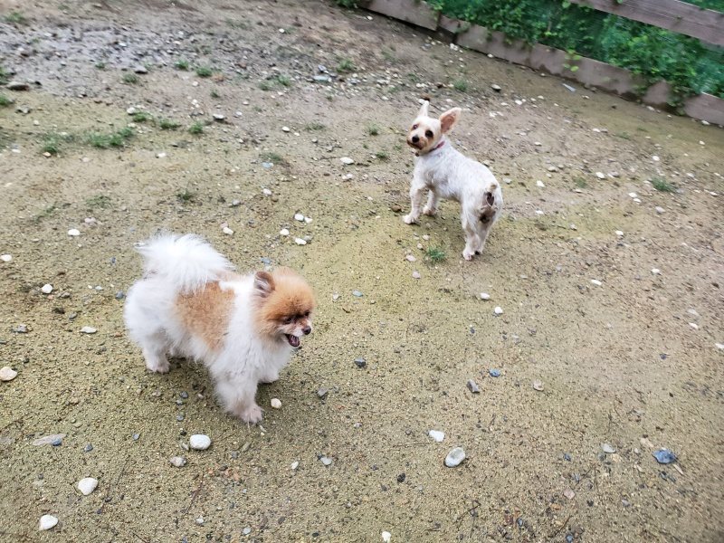 f:id:roukenhome-ann:20190831080739j:plain
