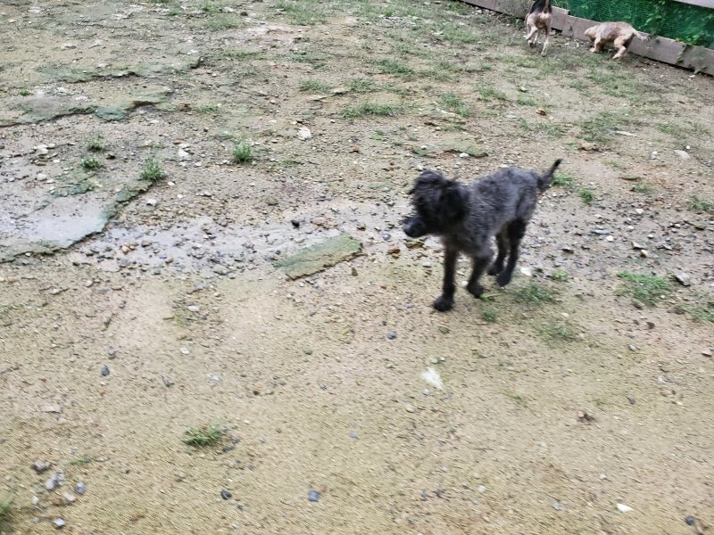f:id:roukenhome-ann:20190831080747j:plain