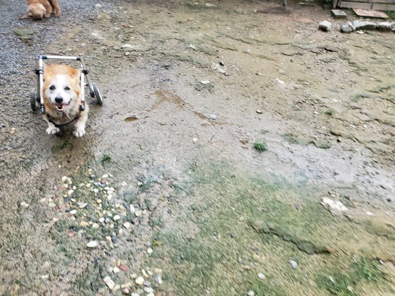 f:id:roukenhome-ann:20190831080756j:plain