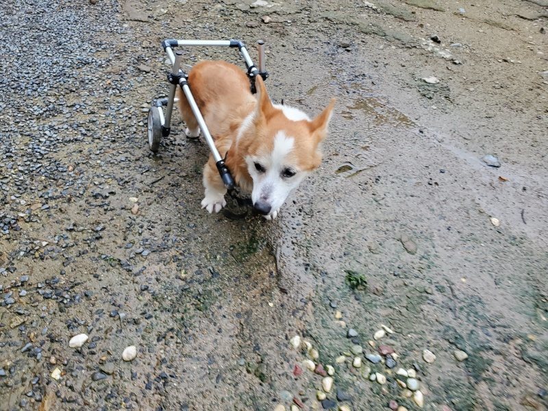 f:id:roukenhome-ann:20190831080802j:plain