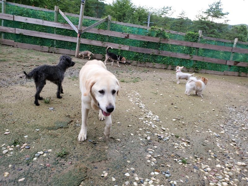 f:id:roukenhome-ann:20190831080843j:plain