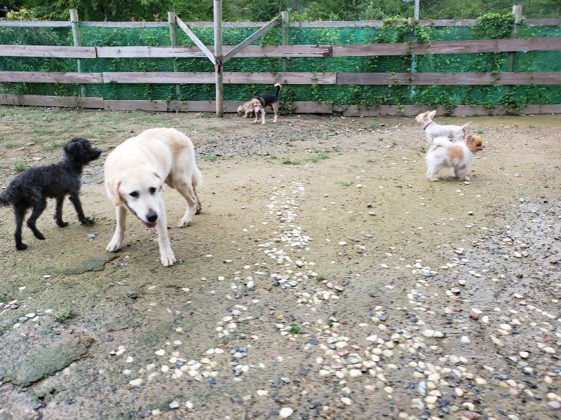 f:id:roukenhome-ann:20190831080858j:plain