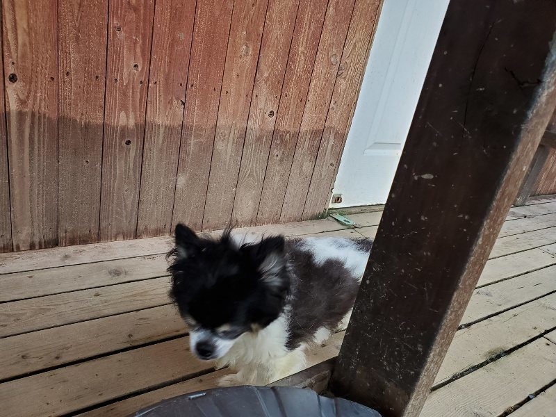 f:id:roukenhome-ann:20190831081006j:plain