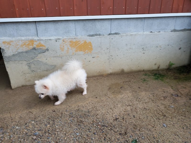 f:id:roukenhome-ann:20190831081033j:plain