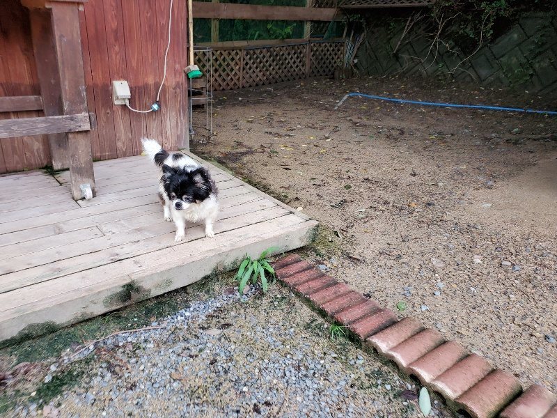 f:id:roukenhome-ann:20190831081041j:plain