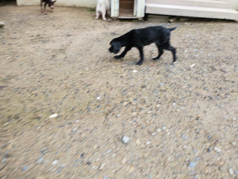 f:id:roukenhome-ann:20190831081109j:plain