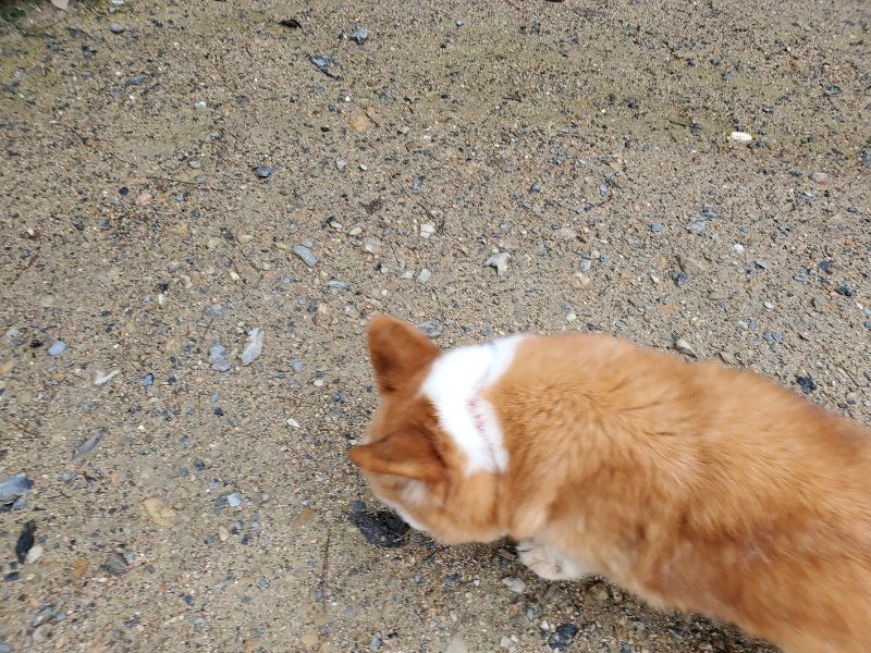 f:id:roukenhome-ann:20190831081121j:plain