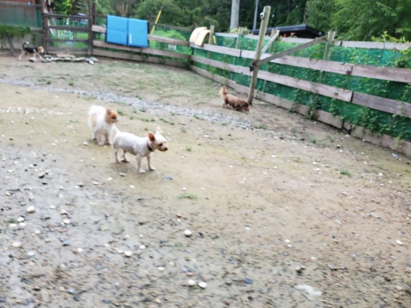 f:id:roukenhome-ann:20190831081206j:plain