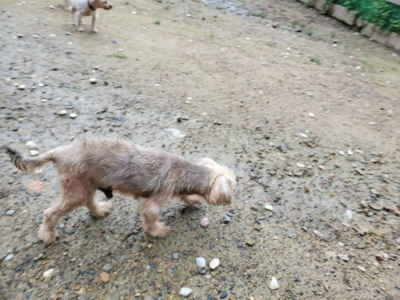 f:id:roukenhome-ann:20190831081221j:plain