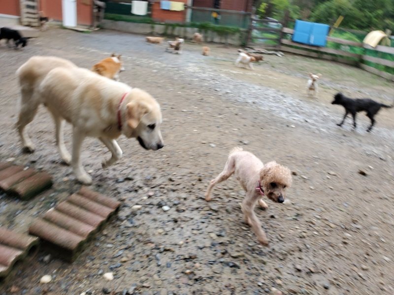 f:id:roukenhome-ann:20190831081238j:plain
