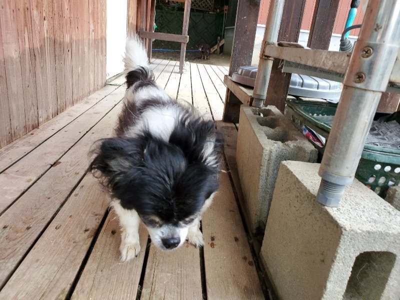 f:id:roukenhome-ann:20190831081244j:plain