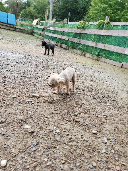 f:id:roukenhome-ann:20190831081253j:plain