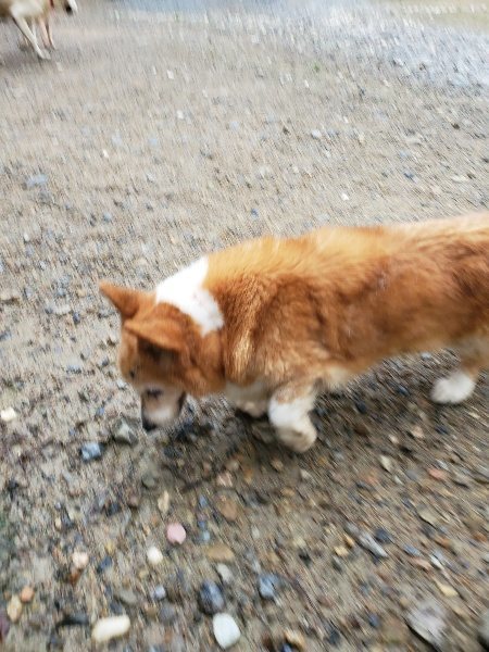 f:id:roukenhome-ann:20190831081313j:plain