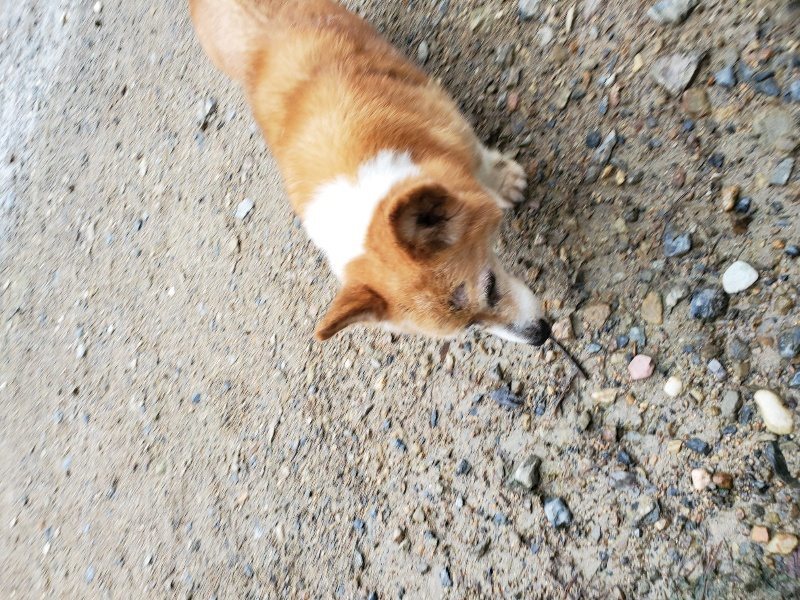 f:id:roukenhome-ann:20190831081335j:plain