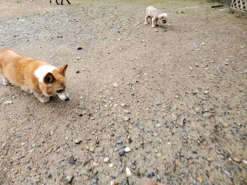 f:id:roukenhome-ann:20190831081342j:plain