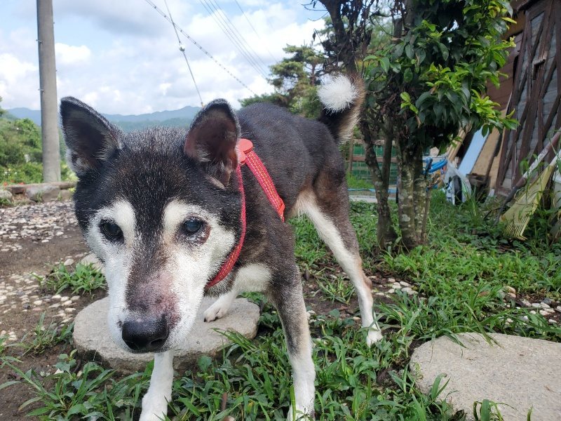 f:id:roukenhome-ann:20190831192529j:plain