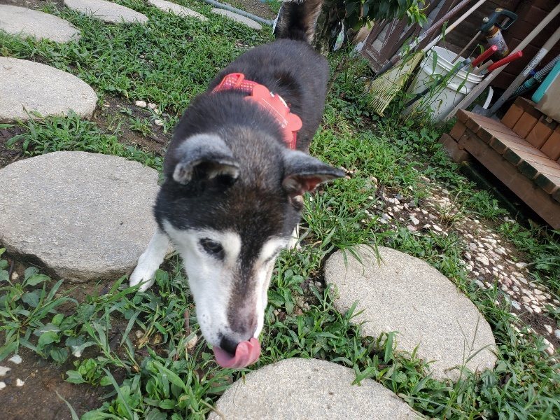 f:id:roukenhome-ann:20190831192536j:plain
