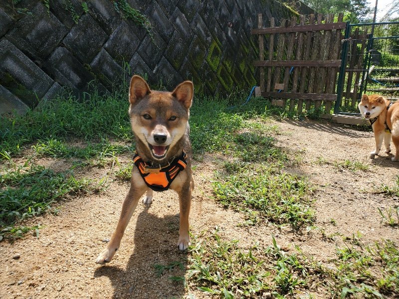 f:id:roukenhome-ann:20190831193536j:plain