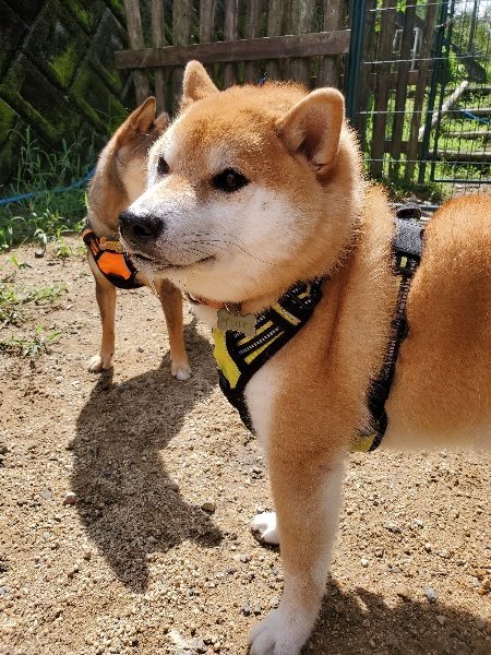 f:id:roukenhome-ann:20190831193556j:plain