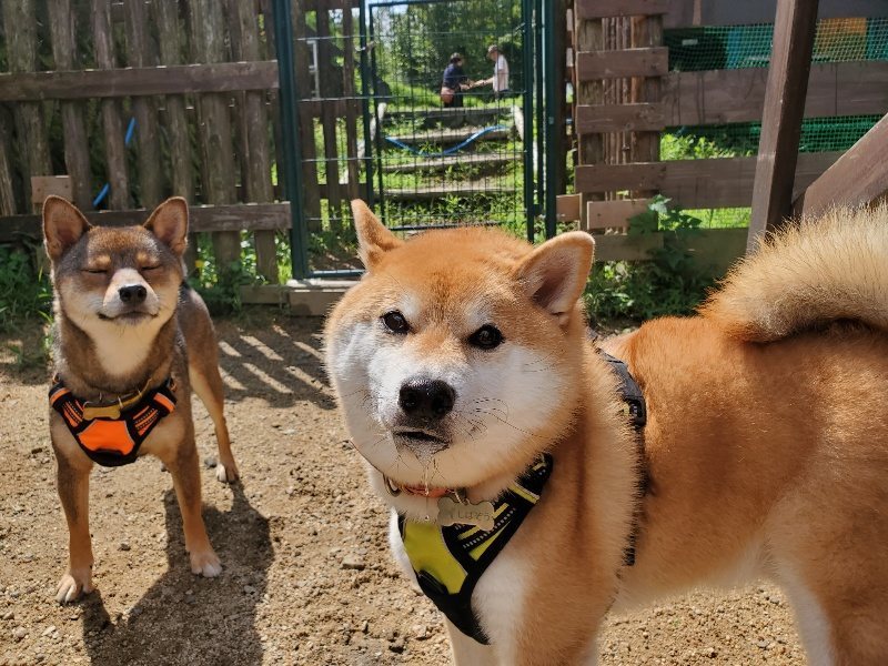 f:id:roukenhome-ann:20190831193605j:plain