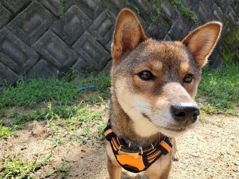 f:id:roukenhome-ann:20190831193611j:plain