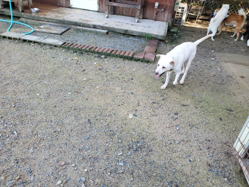 f:id:roukenhome-ann:20190907195250j:plain