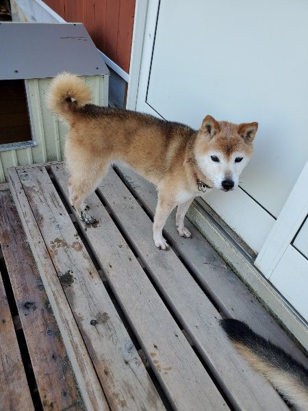 f:id:roukenhome-ann:20190907195257j:plain