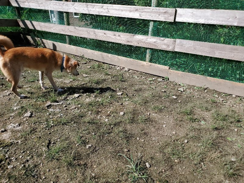 f:id:roukenhome-ann:20190907195356j:plain