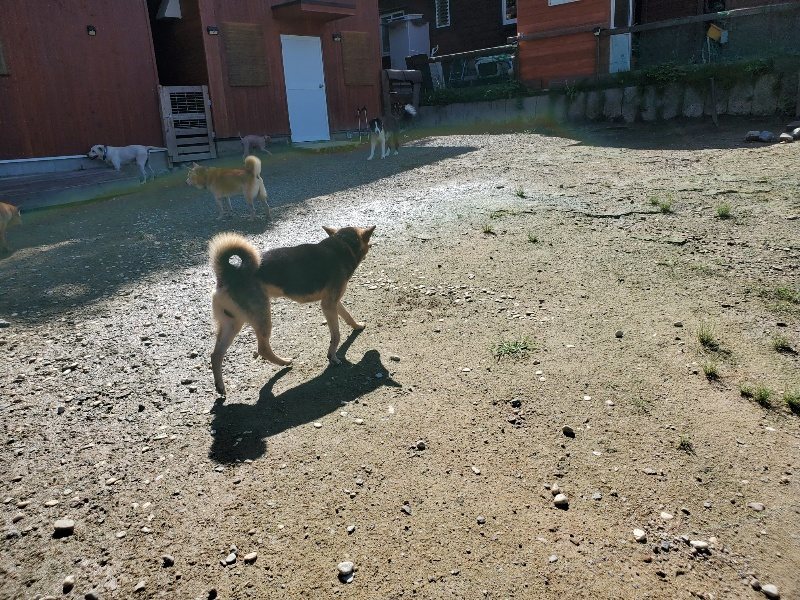 f:id:roukenhome-ann:20190907195439j:plain