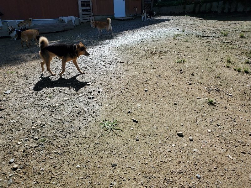 f:id:roukenhome-ann:20190907195447j:plain