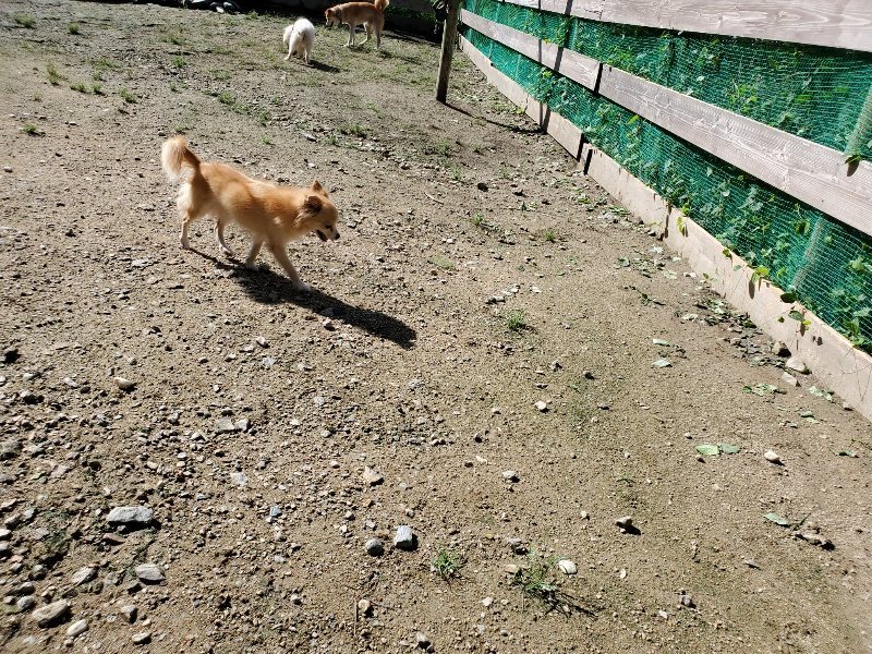 f:id:roukenhome-ann:20190907195458j:plain