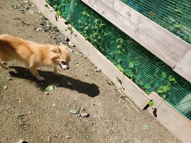 f:id:roukenhome-ann:20190907195512j:plain
