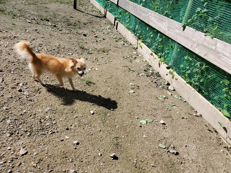 f:id:roukenhome-ann:20190907195524j:plain
