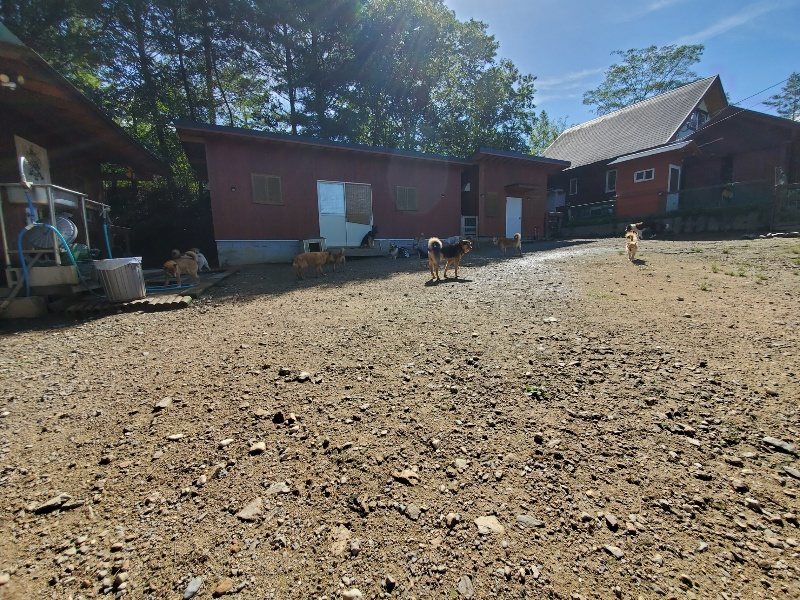 f:id:roukenhome-ann:20190907195552j:plain