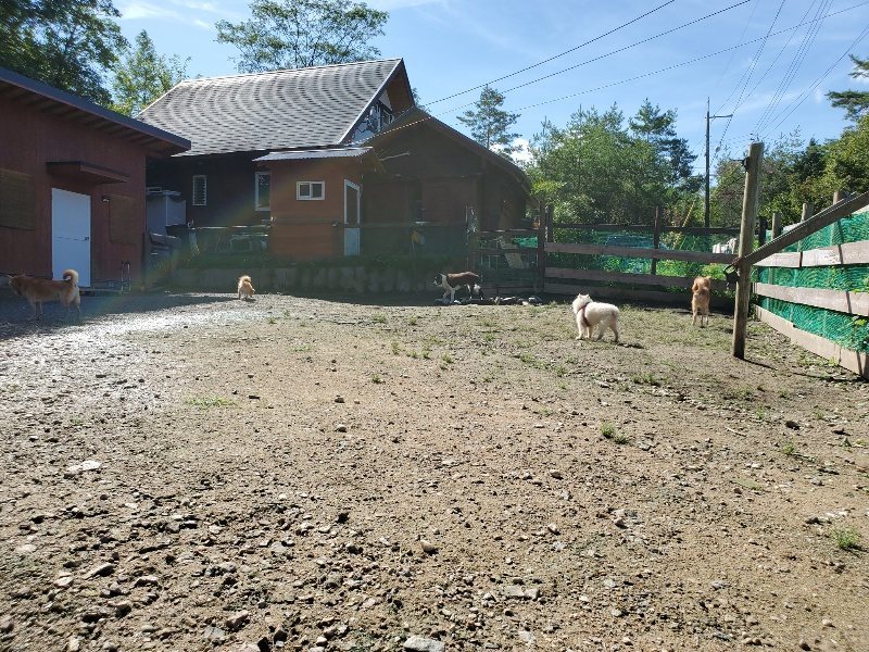 f:id:roukenhome-ann:20190907195642j:plain