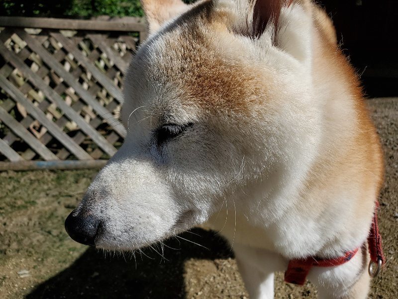 f:id:roukenhome-ann:20190907195700j:plain