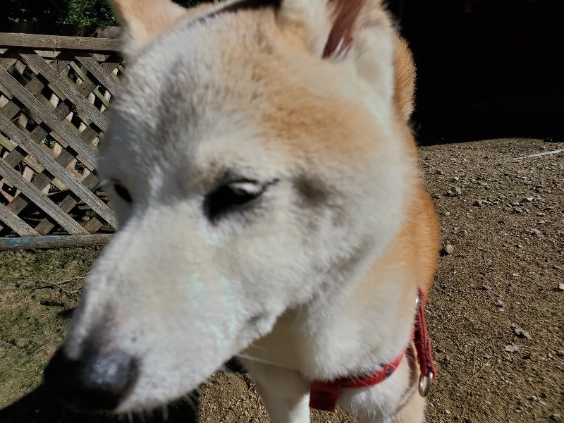 f:id:roukenhome-ann:20190907195715j:plain