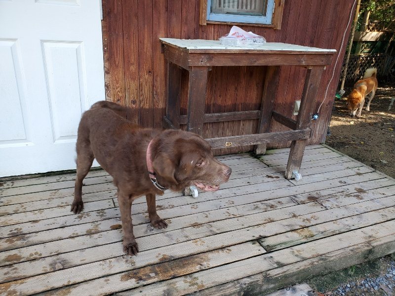 f:id:roukenhome-ann:20190907195756j:plain